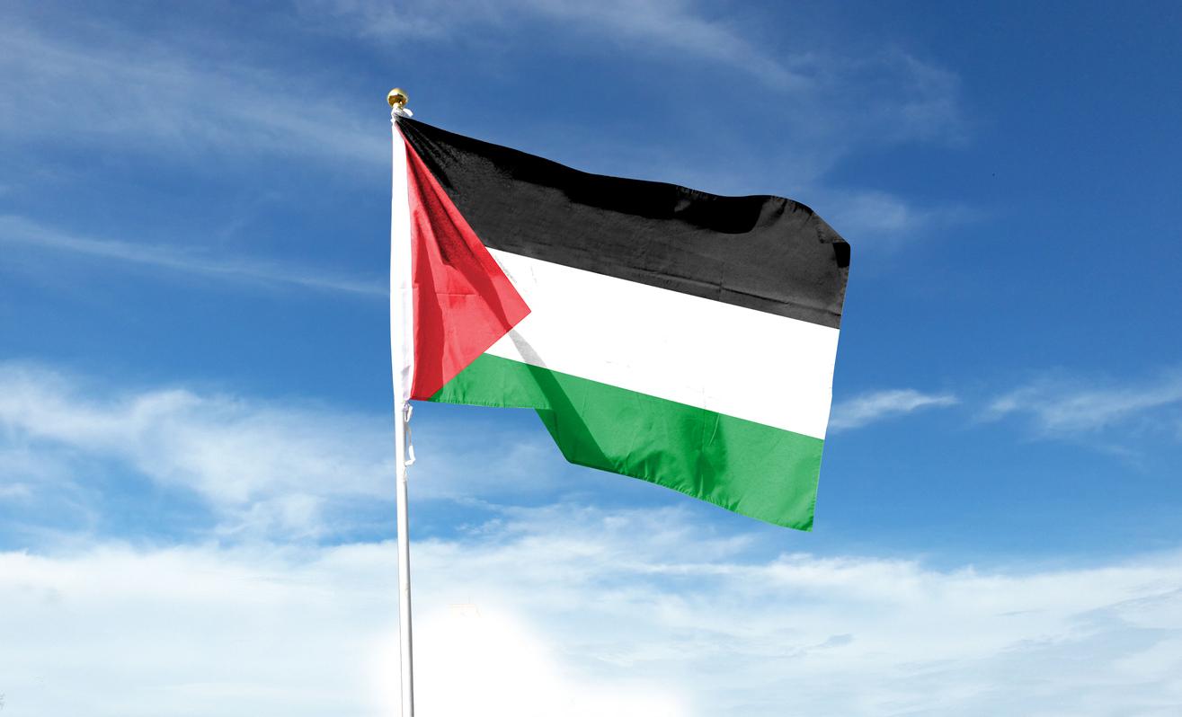 Palestinian flag and blue sky