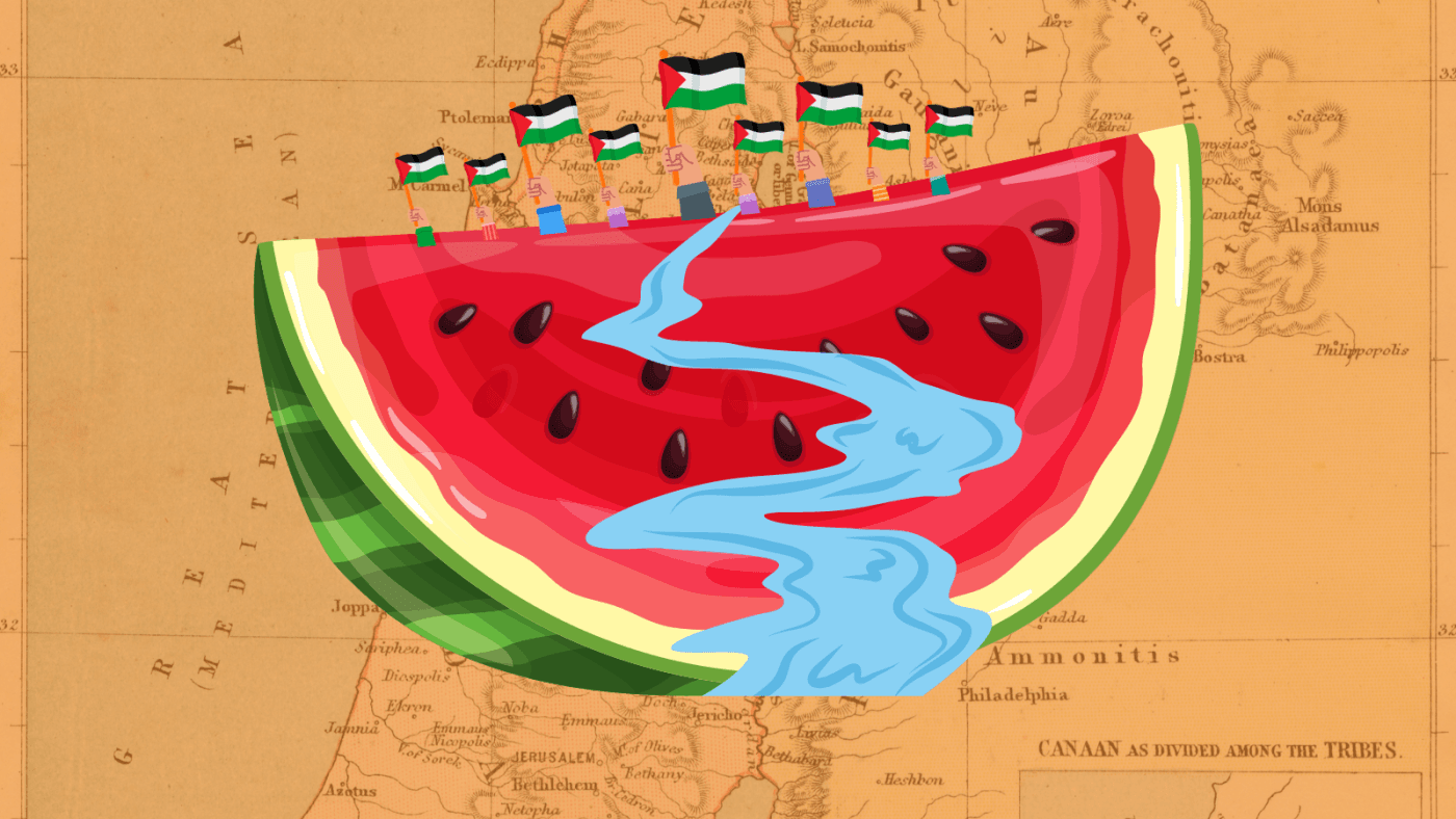 An Extensive Guide on How to Support Palestine